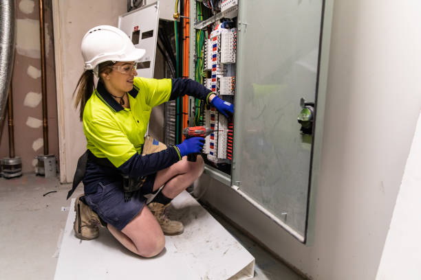 Best Electric Panel Repair  in Ripley, OH