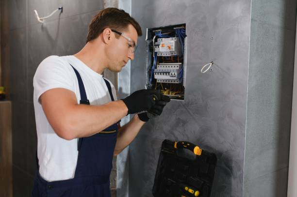 Best Licensed Electrician  in Ripley, OH